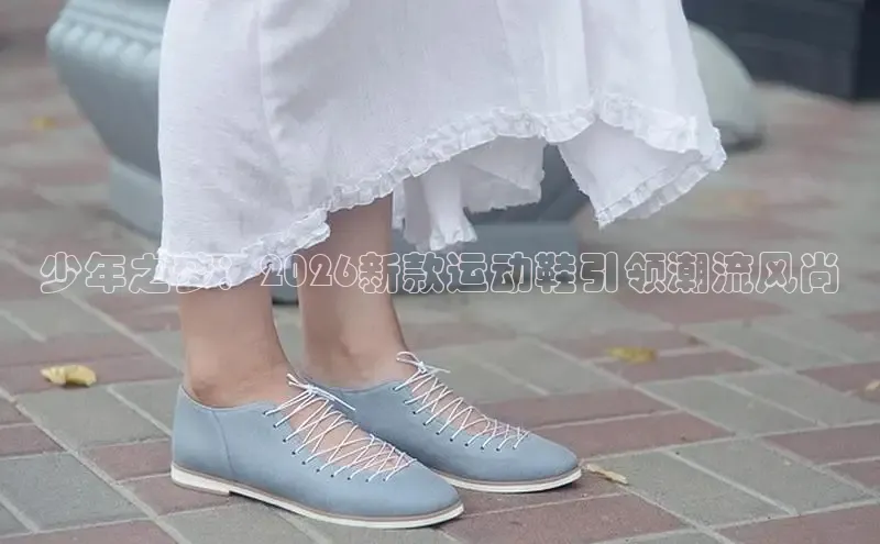 足球蜘蛛直播在线观看