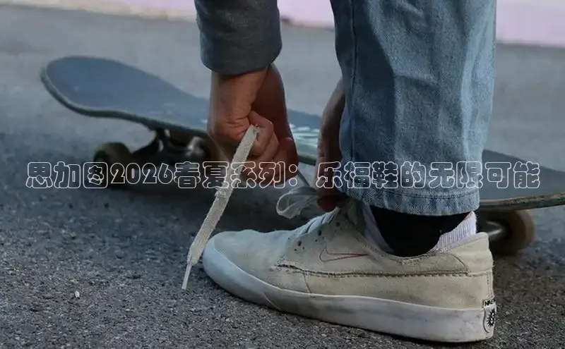 蜘蛛体育直播在线看