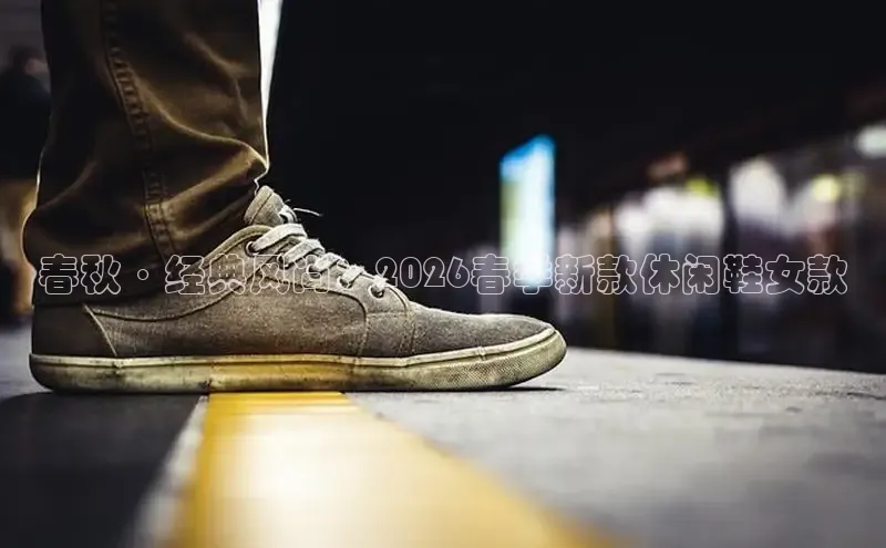 蜘蛛体育直播app